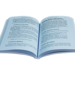 Arta Războiului PSI - Protecția (Seniori) - Image 3