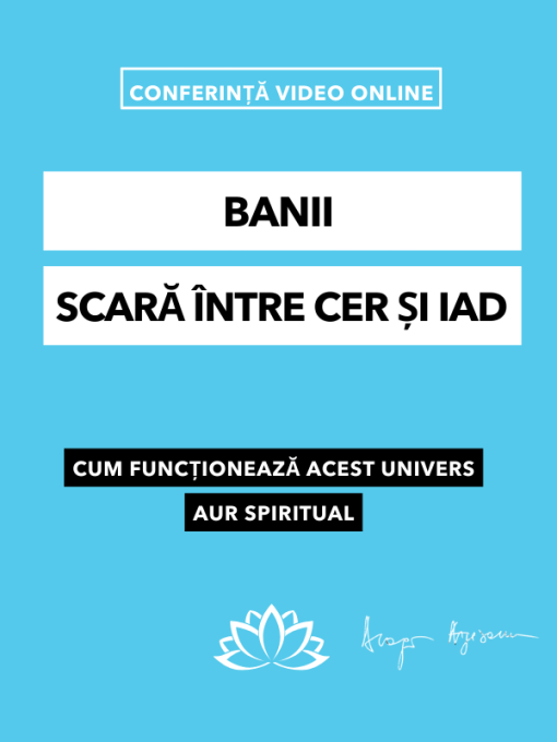 Banii scara intre cer si iAd- conferință
