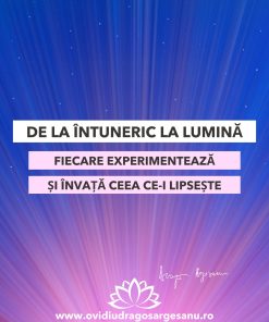 Curs: De la intuneric la lumina (Seniori)