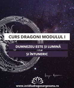 Curs: Dragoni - Modulul I (Seniori)