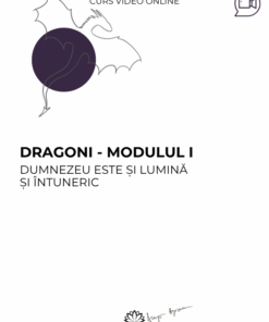 Curs: Dragoni - Modulul I