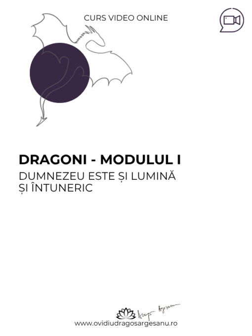 Curs premium Dragoni-Modulul I 600X800