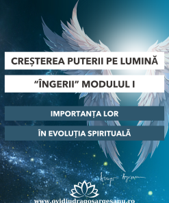 Curs: Cresterea puterii pe lumina - ingerii (Seniori)