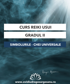 Curs: Reiki Usui Gradul 2 - Bucuresti - acces online