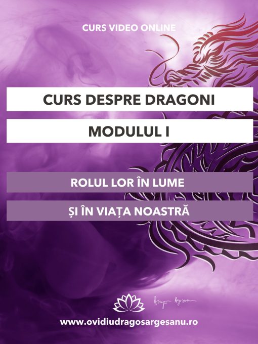 Curs-Despre Dragoni-Modulul I-CRaiova-600x800