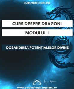 Curs: Despre dragoni - Modulul I - Constanta - acces online (Seniori)