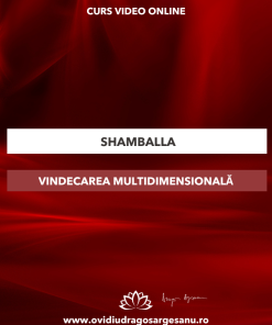 Curs: Shamballa - Arad - acces online (Seniori)
