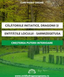 Curs: Calatoriile initiatice, dragonii si entitatile locului - Sarmizegetusa - acces online (Seniori)