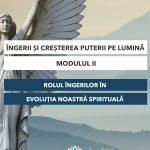 Curs-Ingerii si cresterea puterii pe lumina-Modulul II-Deva