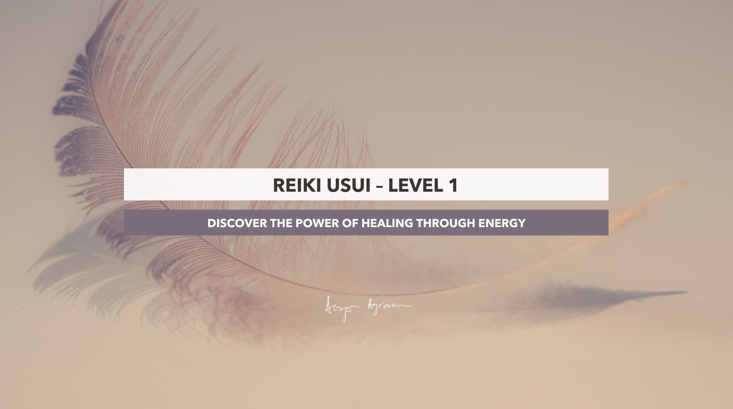 Reiki Level 1 Discover the Power of Healing Through Energy