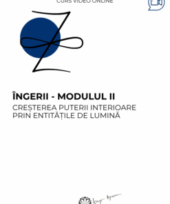 Curs: Ingerii - Modulul II - Ploiesti - acces online