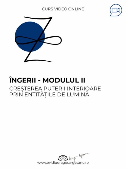 Curs premium Ingerii-Modulul II-Ploiesti 600X800