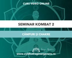 Seminar: Kombat 2 - Campuri si Chakre- Bucuresti - acces online (Seniori)