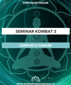 Seminar: Kombat 2 - Campuri si Chakre- Bucuresti - acces online