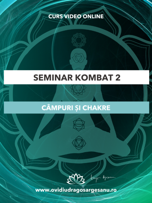 seminar kombat 2 grafica premium 600 800 (1)