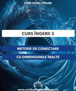 Curs: Ingerii Modulul III - Craiova - acces online (Seniori)
