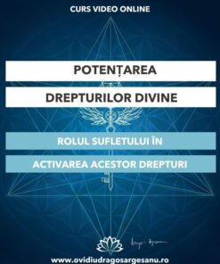 Sebes grafica premium 600 800