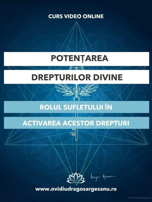 Sebes grafica premium 600 800 Sebes grafica premium 600 800