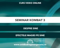 Seminar Seniori Kombat 3 - Despre Sine - Bucuresti - acces online