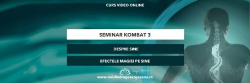 Seminar kombat 3 grafica premium 600-200