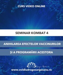 Seminar Kombat 4 grafica premium (1080 x 566 px)