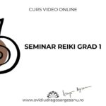 Curs premium Seminar Reiki grad 1 1080x566
