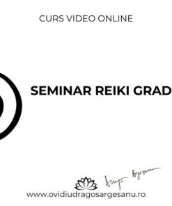Curs premium Seminar Reiki grad 1 1080x566