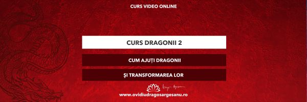 Curs: Dragoni Modulul II – Craiova – acces online (Seniori)