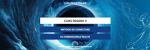 Curs: Ingerii Modulul III – Craiova – acces online (Seniori)