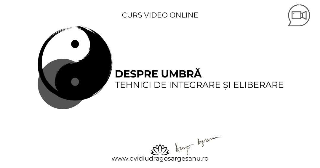 Curs: Despre umbra. Intrebari si raspunsuri – Londra – acces online