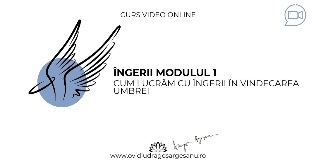 Curs: Ingerii Modulul 1 – Cum lucram cu ingerii in vindecare umbrei – Constanta – acces online