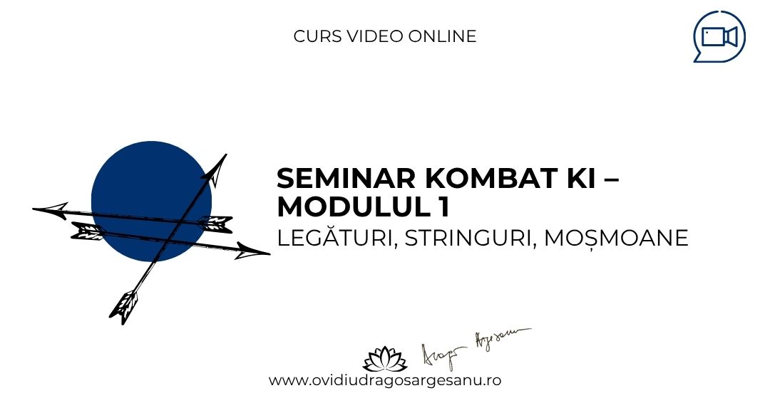 1 Seminar Kombat Ki – Modulul 1 – Bucuresti – acces online (Seniori)